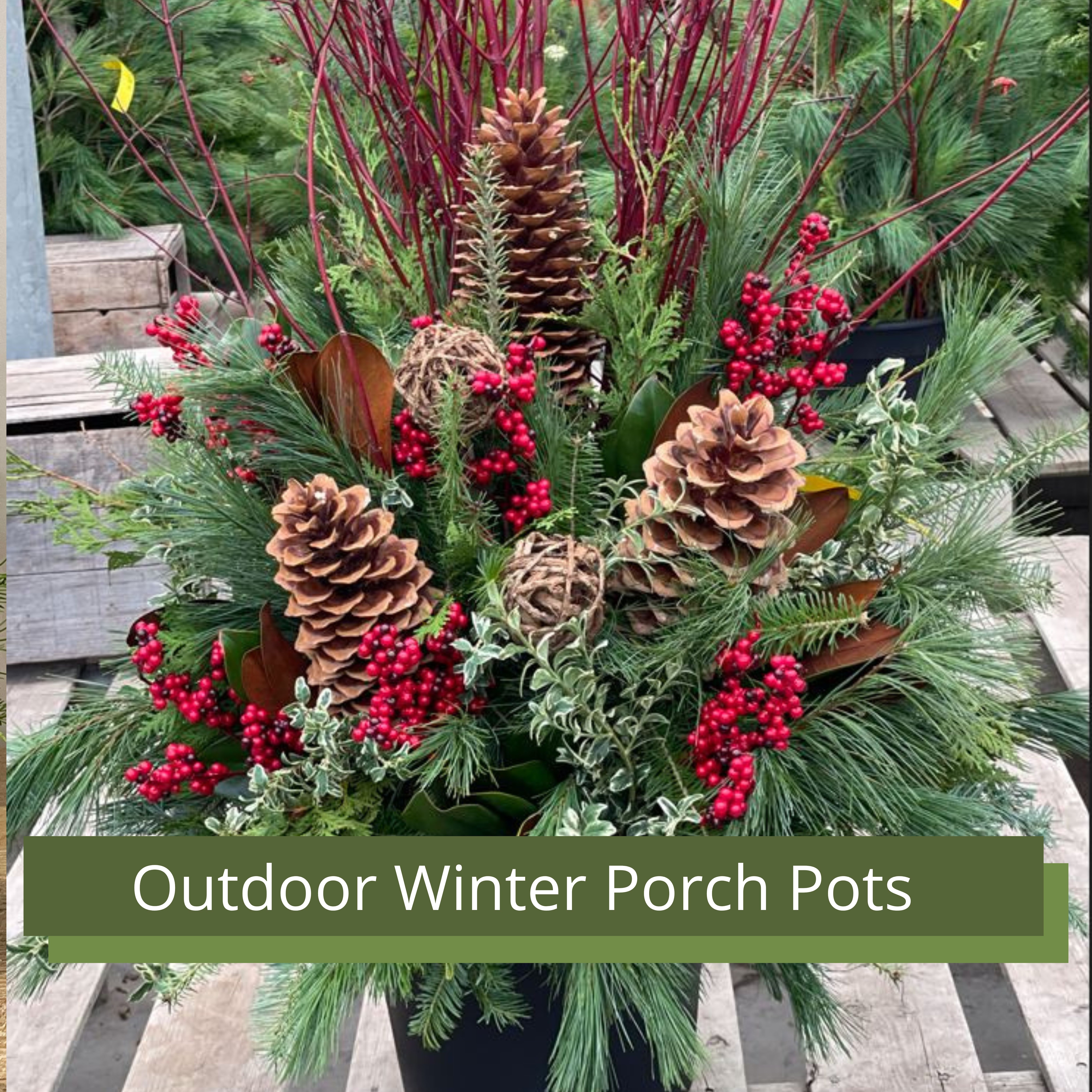 Winter Porch Pots, Order Here